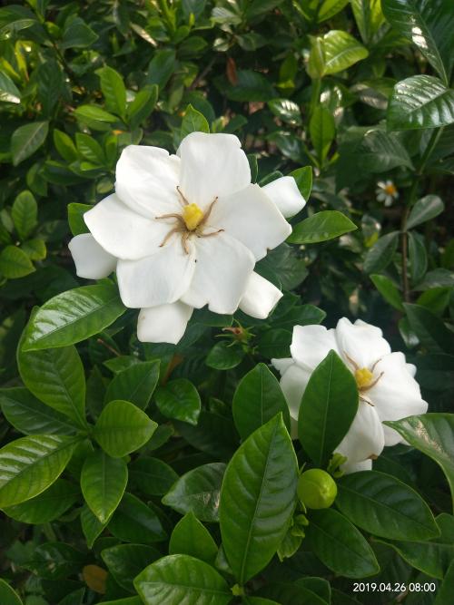 晋江尚斑马连锁驾校,驾校学车,学车,泉州,晋江,小车培训,考驾照