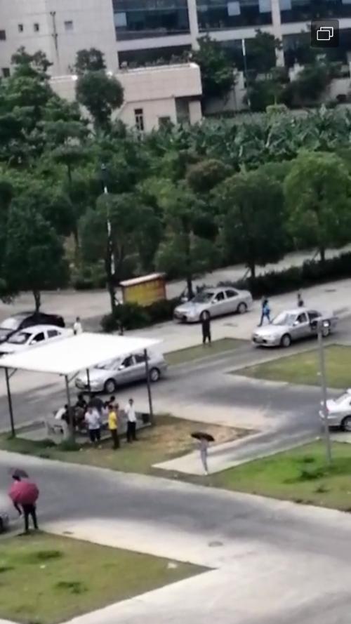 晋江尚斑马连锁驾校,驾校学车,学车,泉州,晋江,小车培训,考驾照